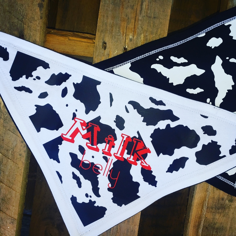 Baby bandana bibs